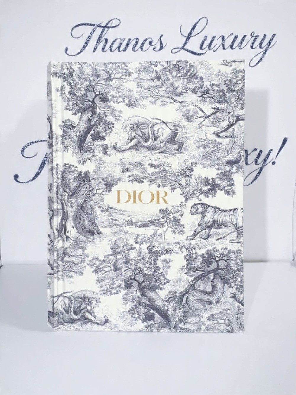 Dior Notebook (Mystery 2pc Bundle)